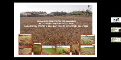 MAHASISWA KKN-T IPB DI DESA NGABEAN, GELAR WEBINAR PERTANIAN